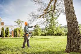 Best Tree Removal  in Fairmont, WV